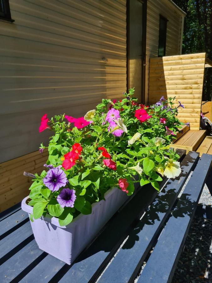 Unique Caravan With Outdoor Space 巴伦特雷 外观 照片